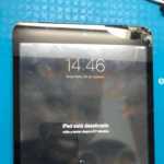 Captura de ecrã 2026-02-14 235650